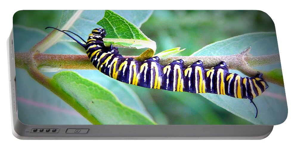 Catapillar Portable Battery Charger featuring the photograph Turning A New Leaf by Kimberly Woyak