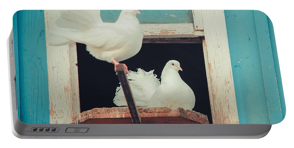 Animals Portable Battery Charger featuring the photograph Turtle Doves 1x1 by Hannes Cmarits