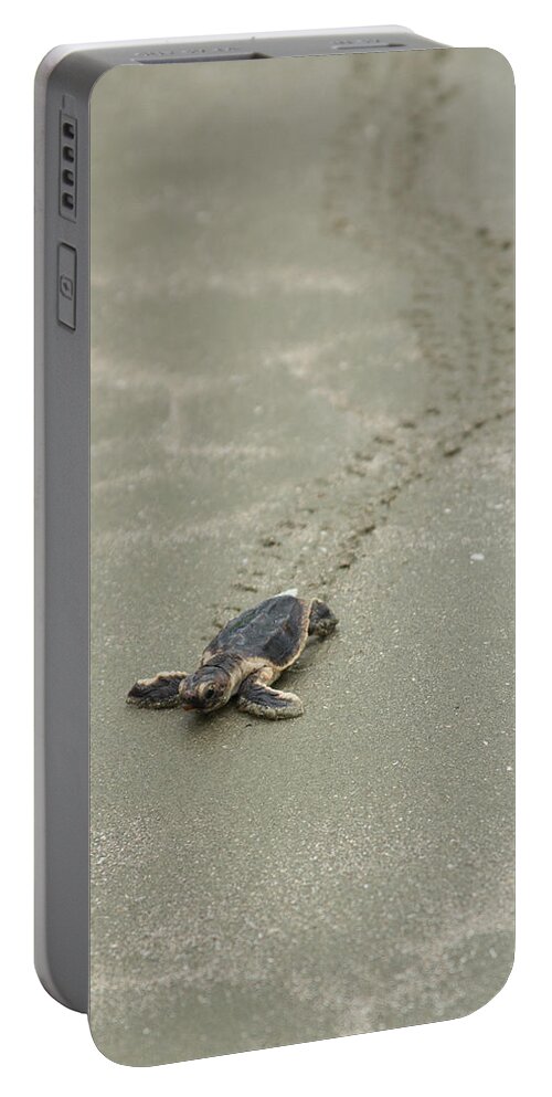 Turtle Portable Battery Charger featuring the photograph Turtle Tracks by Patricia Schaefer