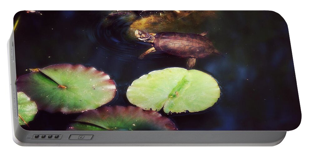Turtle Portable Battery Charger featuring the photograph Turtling Around by Melanie Lankford Photography