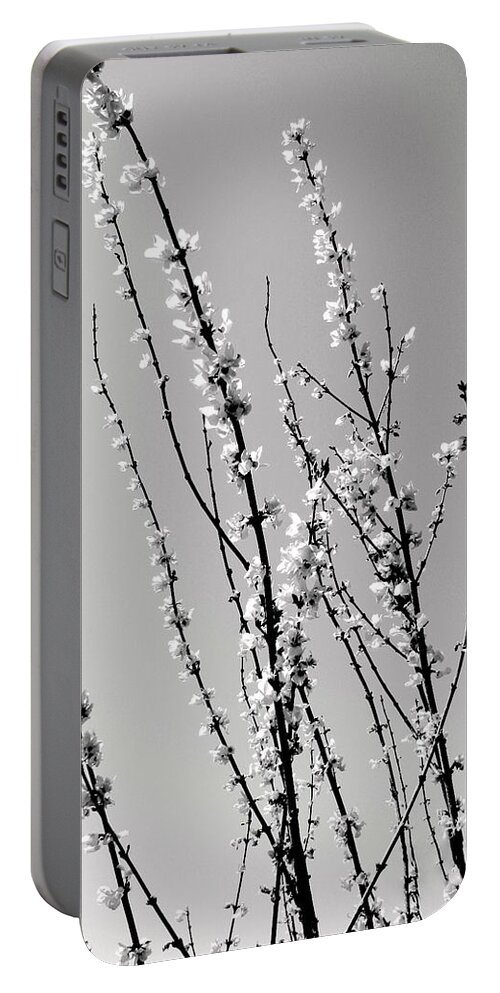 Twigs Portable Battery Charger featuring the photograph Twigs by Deborah Crew-Johnson