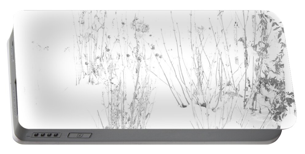 Black And White Image Portable Battery Charger featuring the photograph Weeds in Snow by Valerie Collins