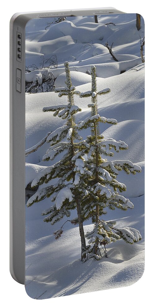 Christmas Portable Battery Charger featuring the photograph Twin Christmas Trees by Bill Cubitt