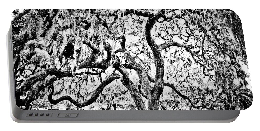 Oak Portable Battery Charger featuring the photograph Twisted Oak by Chauncy Holmes