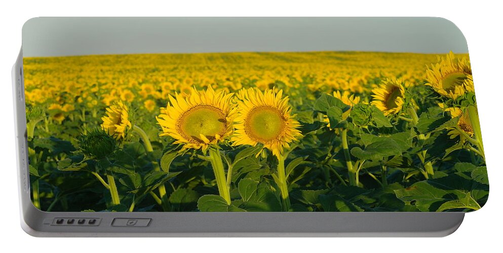 Sunflowers Portable Battery Charger featuring the photograph Two Among the many by Jeff Swan