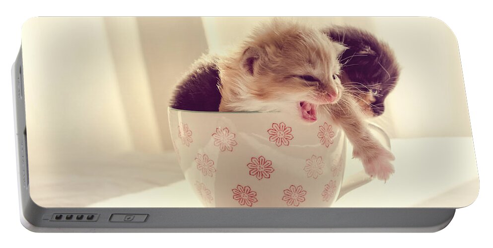 Two Portable Battery Charger featuring the photograph Two Cute Kittens in a Cup by Spikey Mouse Photography