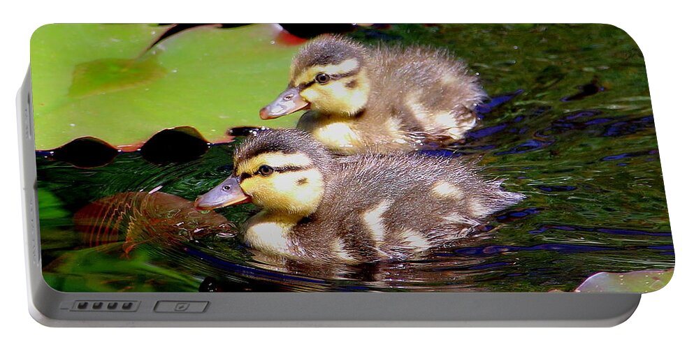 Ducklings Portable Battery Charger featuring the photograph Two Ducklings by Amanda Mohler