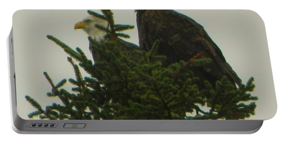 Garibaldi Portable Battery Charger featuring the photograph Two Eagles by Gallery Of Hope 