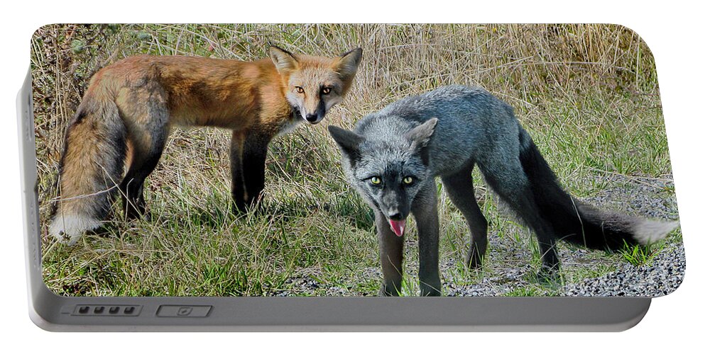 Fox Portable Battery Charger featuring the photograph Two Fox Seattle by Jennie Breeze