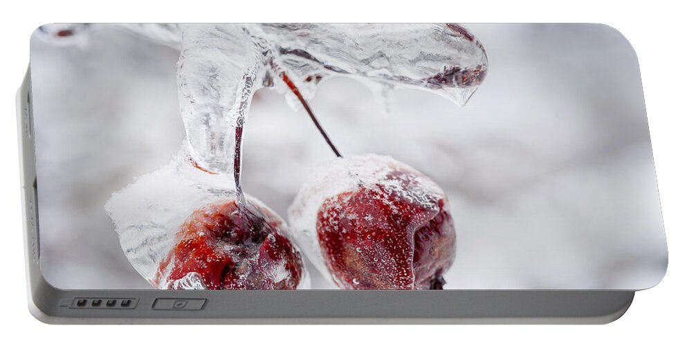 Crabapples Portable Battery Charger featuring the photograph Two frozen crab apples by Elena Elisseeva