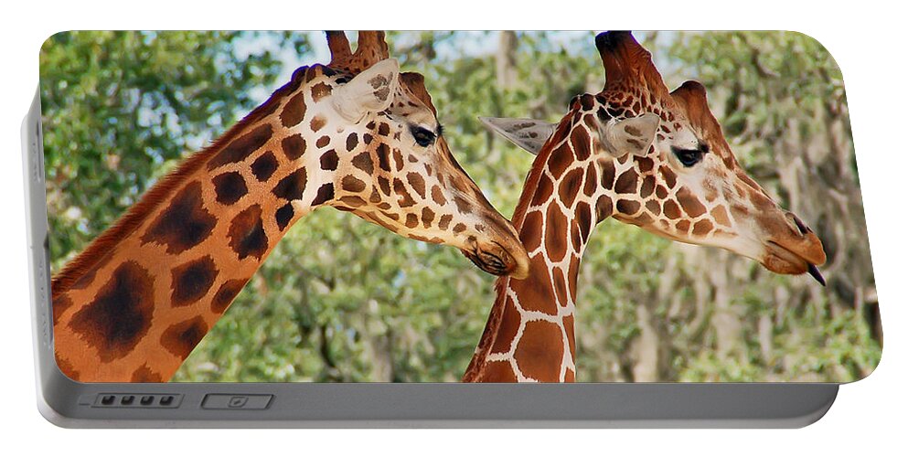 Giraffe Portable Battery Charger featuring the photograph Two Giraffes by Aimee L Maher ALM GALLERY