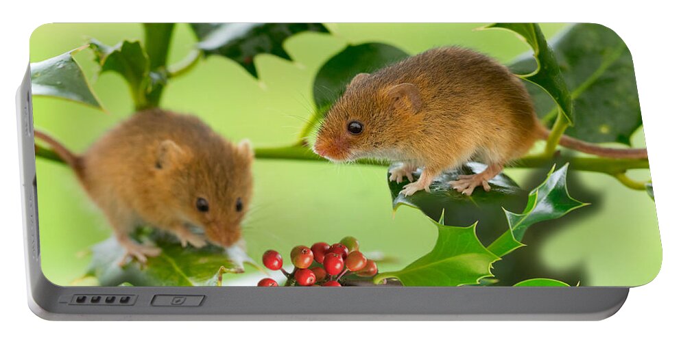Mouse Portable Battery Charger featuring the photograph Two Harvest Mice at Christmas by Louise Heusinkveld