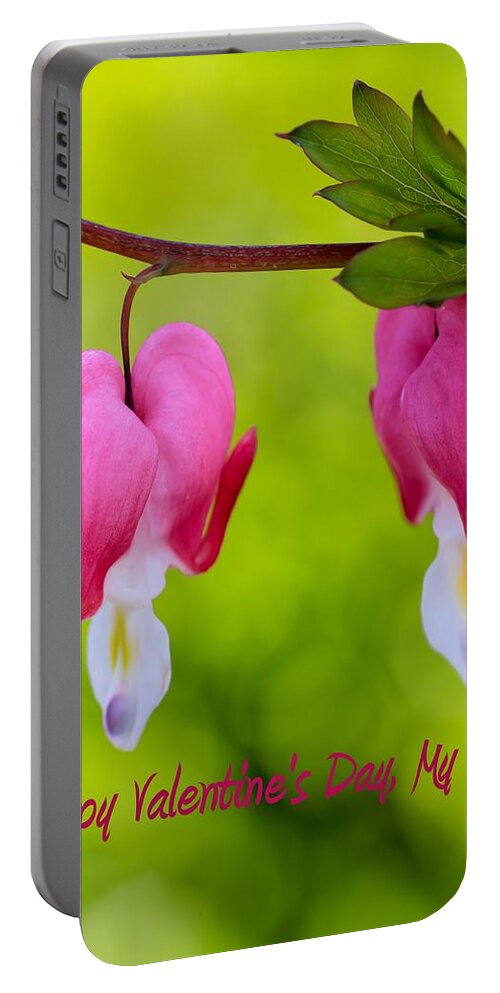 Beautiful Portable Battery Charger featuring the photograph Two Hearts Valentine's Day by Heidi Smith