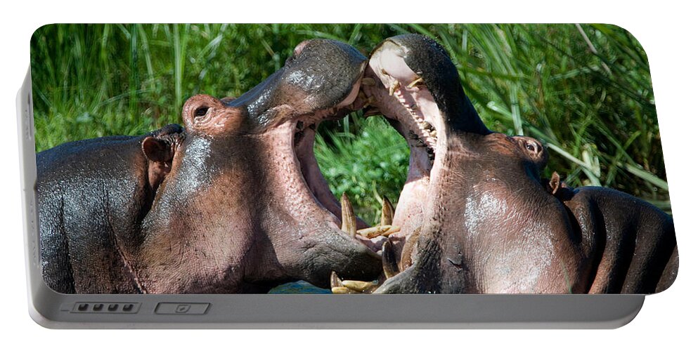 Photography Portable Battery Charger featuring the photograph Two Hippopotamuses Hippopotamus by Panoramic Images
