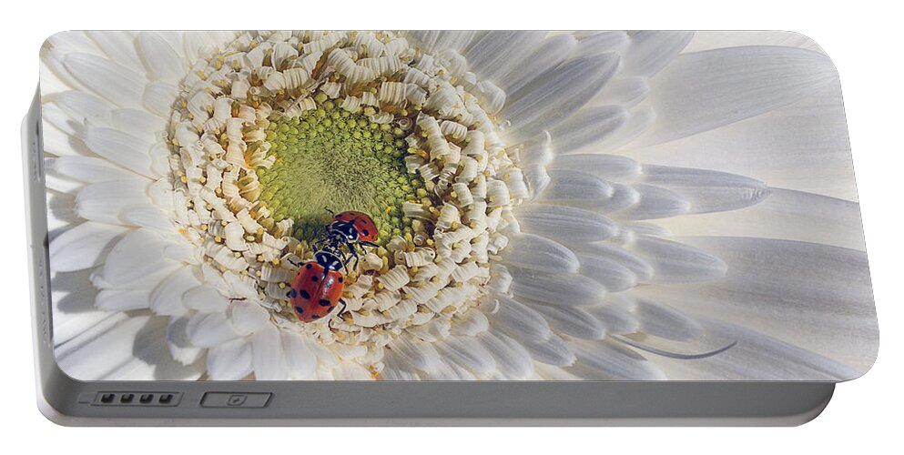 Two Portable Battery Charger featuring the photograph Two Ladybugs Meet by Garry Gay