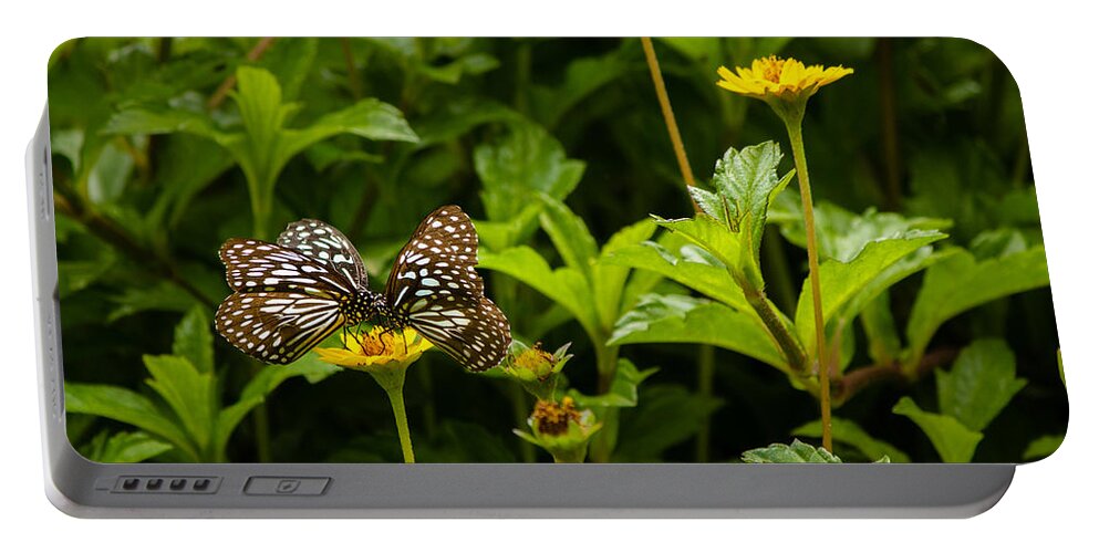 Blue Tiger Portable Battery Charger featuring the photograph Two on one - Butterfly - Blue Tiger by SAURAVphoto Online Store