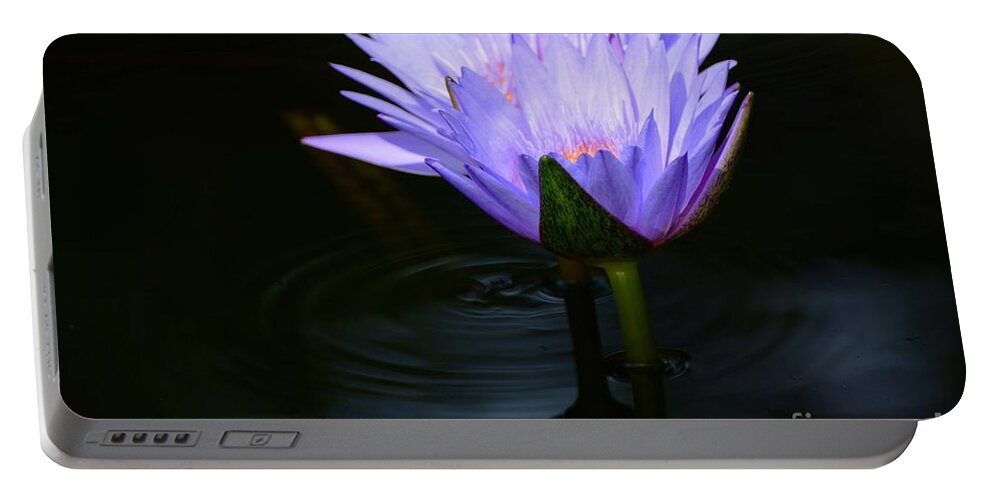 Water Lilies Portable Battery Charger featuring the photograph Two Together by Cindy Manero