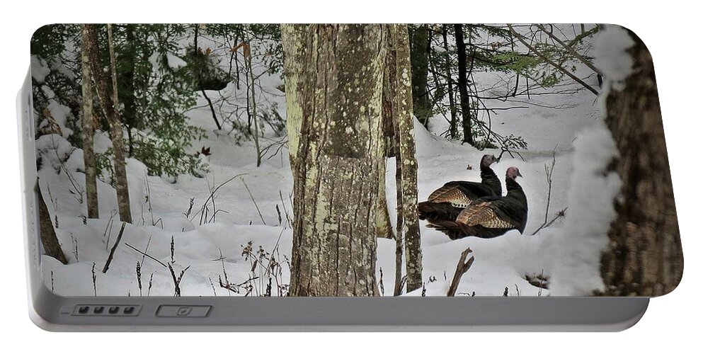 Turkey Portable Battery Charger featuring the photograph Two Turkeys by MTBobbins Photography