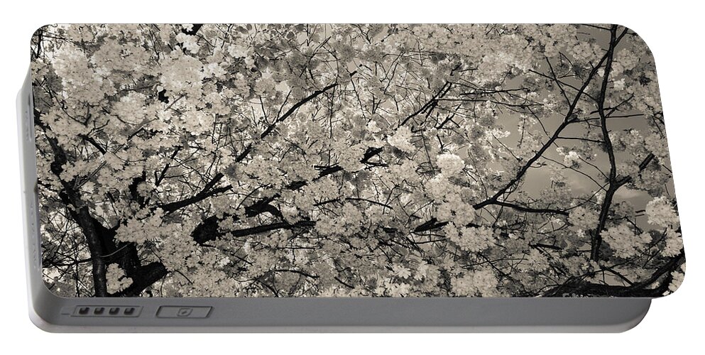 Hanami Portable Battery Charger featuring the photograph Under The Cherry Tree - Bw by Hannes Cmarits