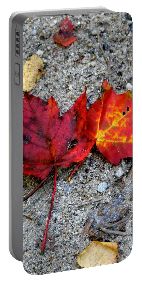 Autumn Portable Battery Charger featuring the photograph Underfoot by Mary Sullivan