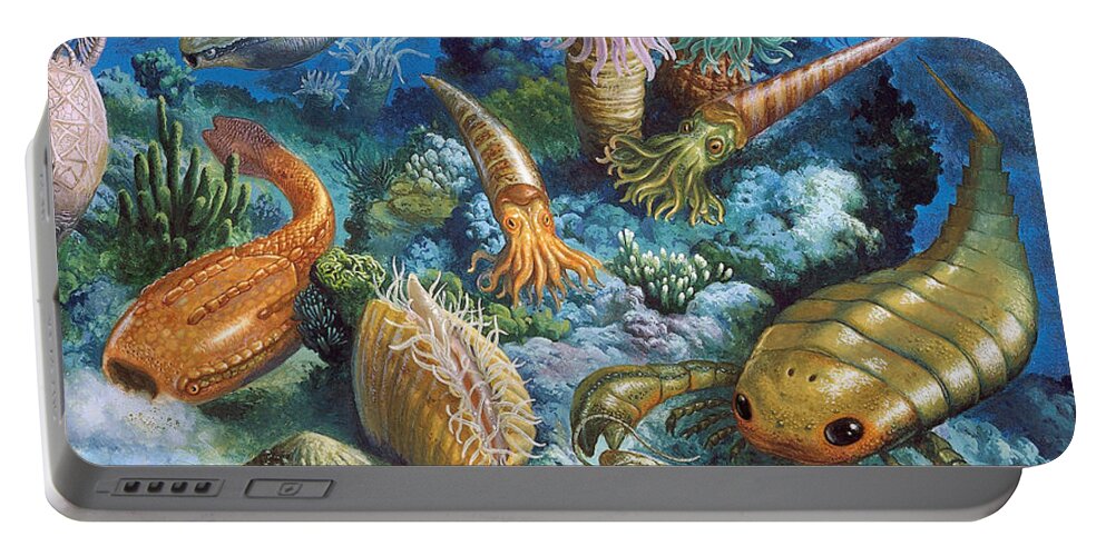Illustration Portable Battery Charger featuring the photograph Underwater Life During The Paleozoic by Publiphoto