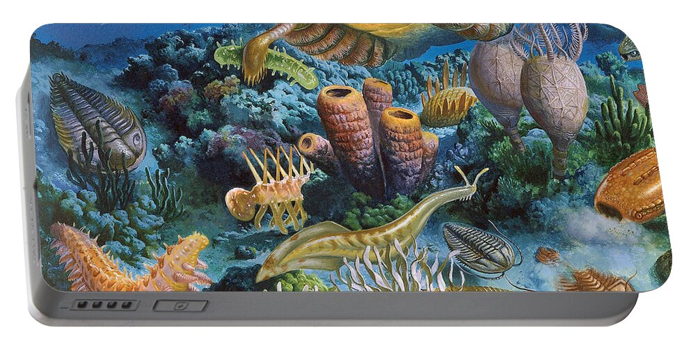 Illustration Portable Battery Charger featuring the photograph Underwater Paleozoic Landscape by Publiphoto