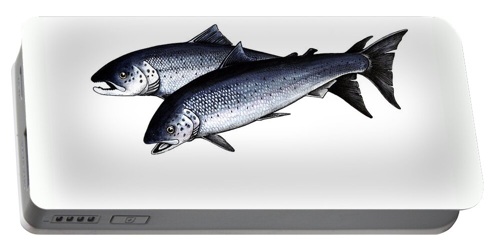 Atlantic Salmon Portable Battery Charger featuring the mixed media Up River by Art MacKay