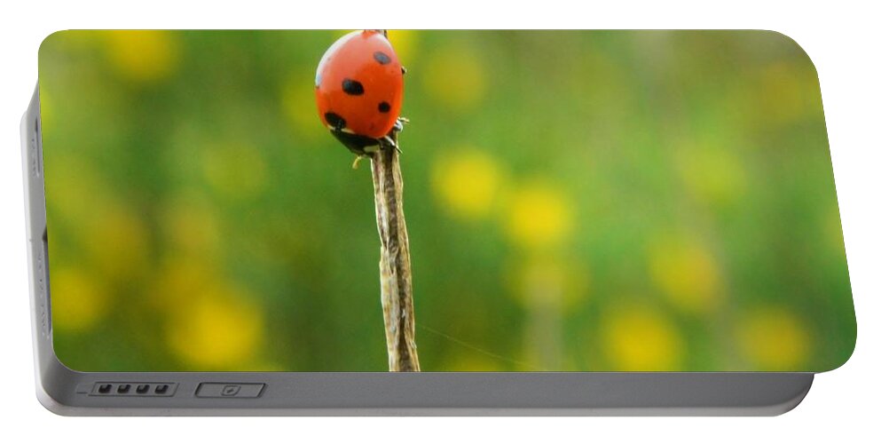 Ladybug Portable Battery Charger featuring the photograph Upsidedown Ladybug by Gallery Of Hope 