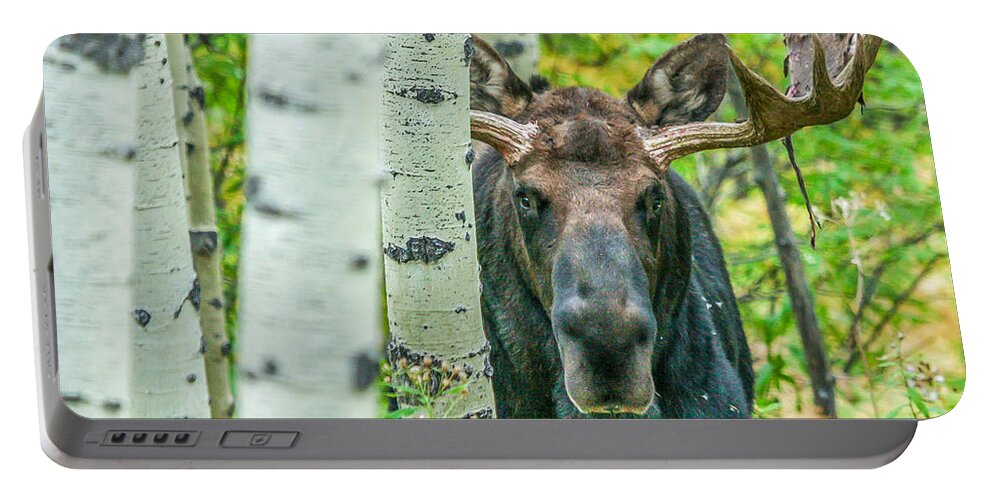 Moose Portable Battery Charger featuring the photograph Vagabond Saddle by Kevin Dietrich