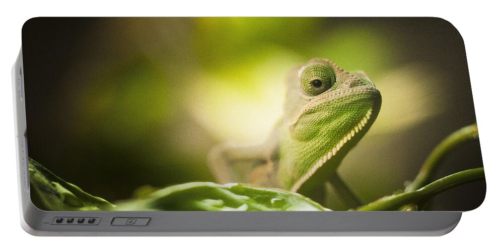 Veiled Portable Battery Charger featuring the photograph Veiled Chameleon Is Watching You by Bradley R Youngberg