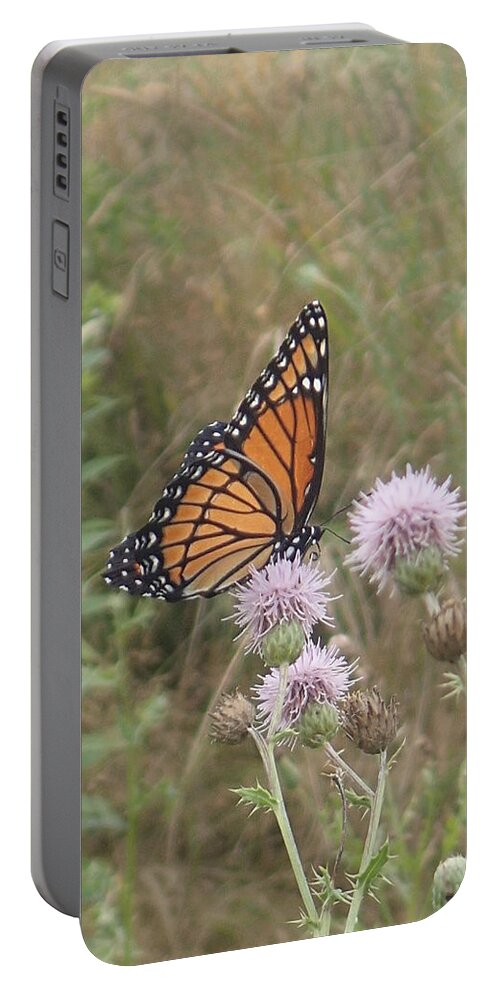 Viceroy Portable Battery Charger featuring the photograph Viceroy on Thistle by Robert Nickologianis
