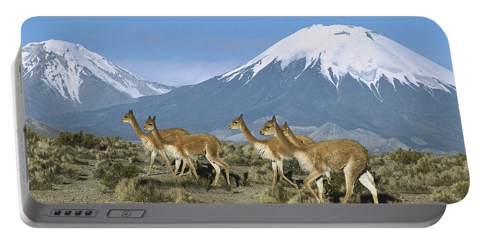 Feb0514 Portable Battery Charger featuring the photograph Vicunas In The Andean Desert by Tui De Roy