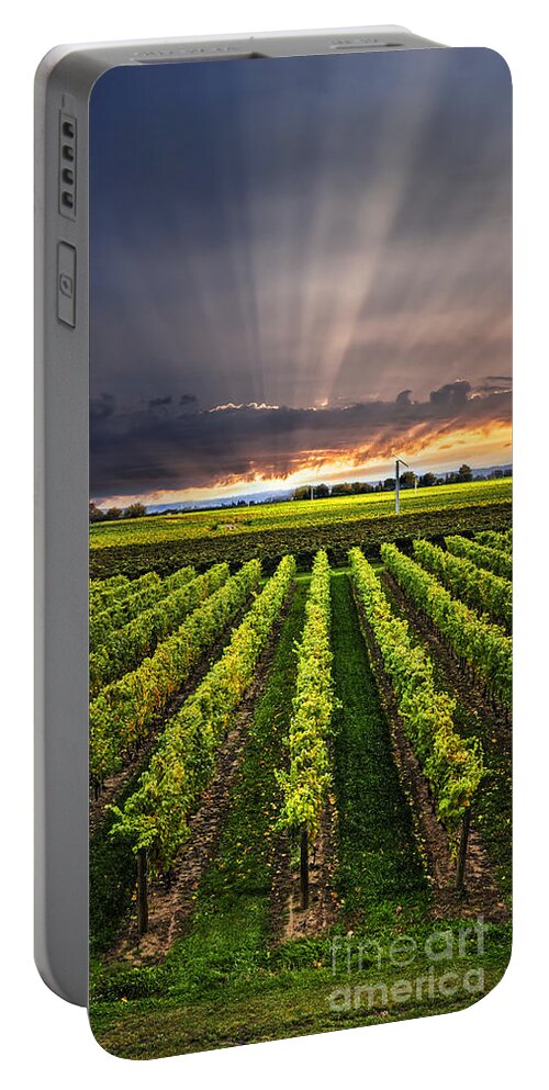 Vineyard Portable Battery Charger featuring the photograph Vineyard and sunset sky by Elena Elisseeva