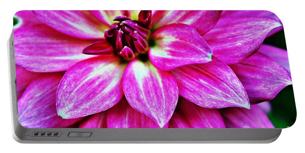 Dahlia Portable Battery Charger featuring the photograph Virbrant Pink Dahlia by Judy Palkimas