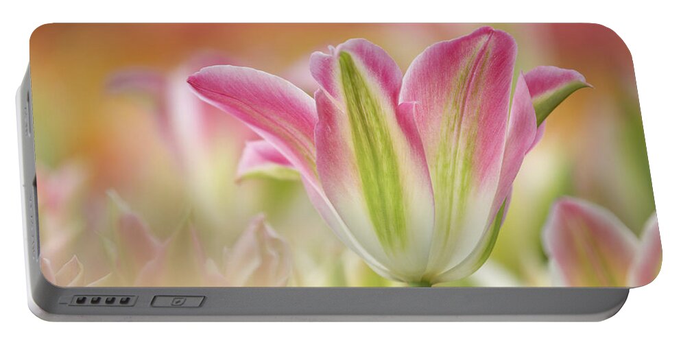 Flpa Portable Battery Charger featuring the photograph Virichic Tulips by Bill Coster