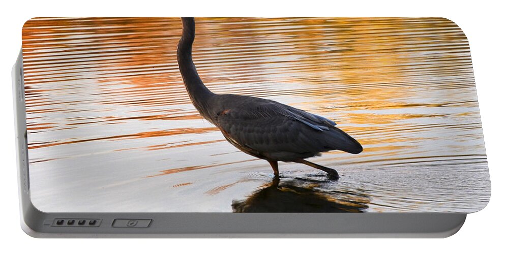 Blue Heron Portable Battery Charger featuring the photograph Wading For You by Judy Wolinsky