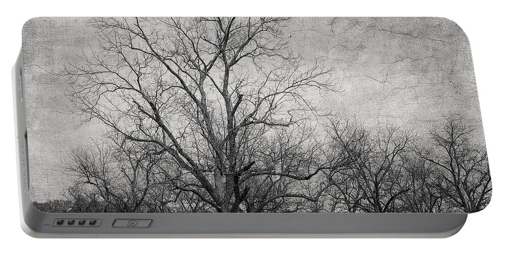 Tree Portable Battery Charger featuring the photograph Waiting by Kim Hojnacki