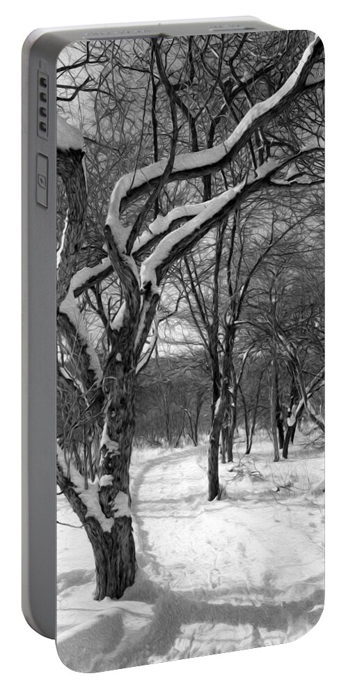 Snow Portable Battery Charger featuring the photograph Walk in the snow by Tracy Winter
