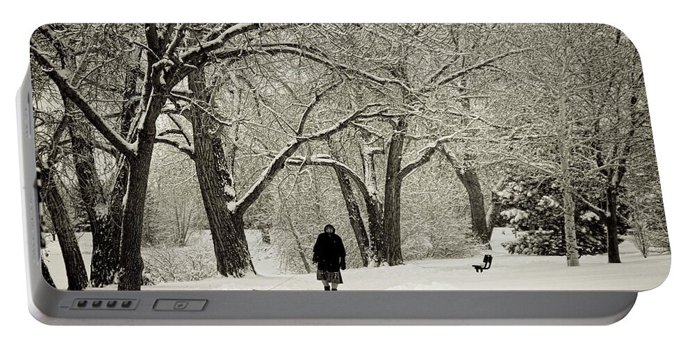 Snow Portable Battery Charger featuring the photograph Walking the Dog in a Winter Wonderland by James BO Insogna