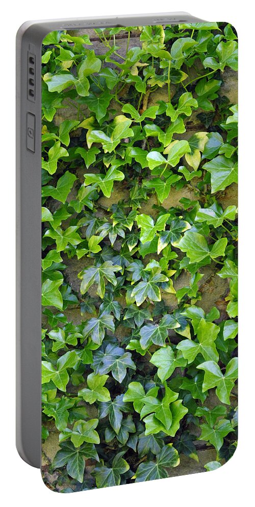 Wall Portable Battery Charger featuring the photograph Wall of Ivy by Tikvah's Hope
