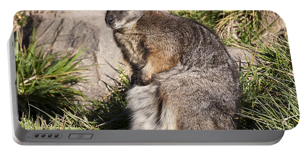Animal Portable Battery Charger featuring the photograph Wallaby by Steven Ralser