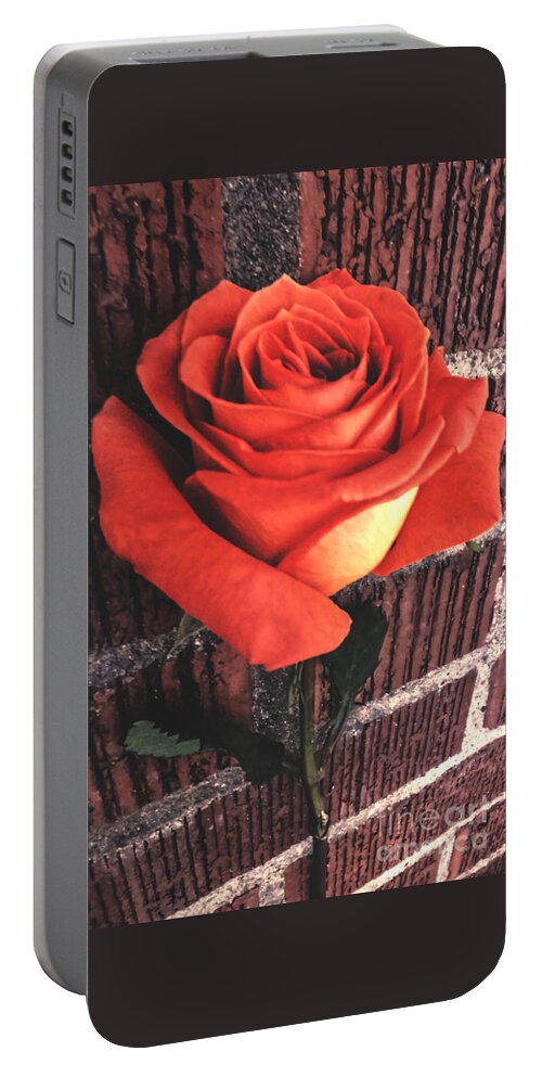 Rose Portable Battery Charger featuring the photograph Wallflower by Charlie Cliques