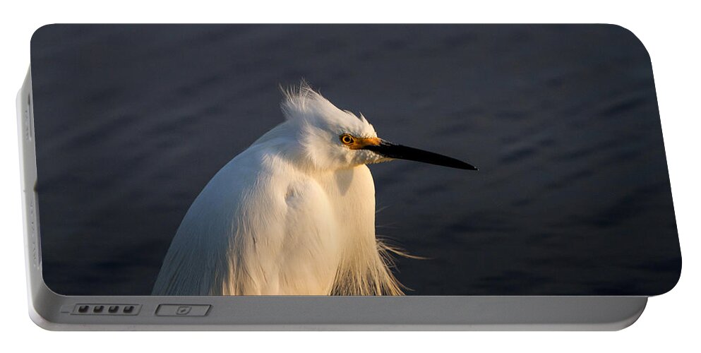 Egret Portable Battery Charger featuring the photograph Warming Sunrays by Allan Levin
