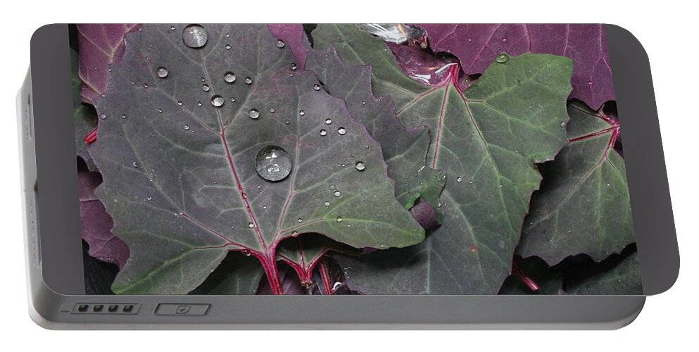 Orach Portable Battery Charger featuring the photograph Washing Purple Orach by Patricia Overmoyer