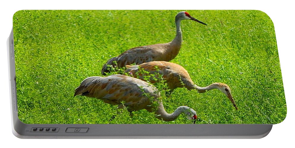Sandhill Crane Portable Battery Charger featuring the photograph Watch Out by Kimberly Woyak