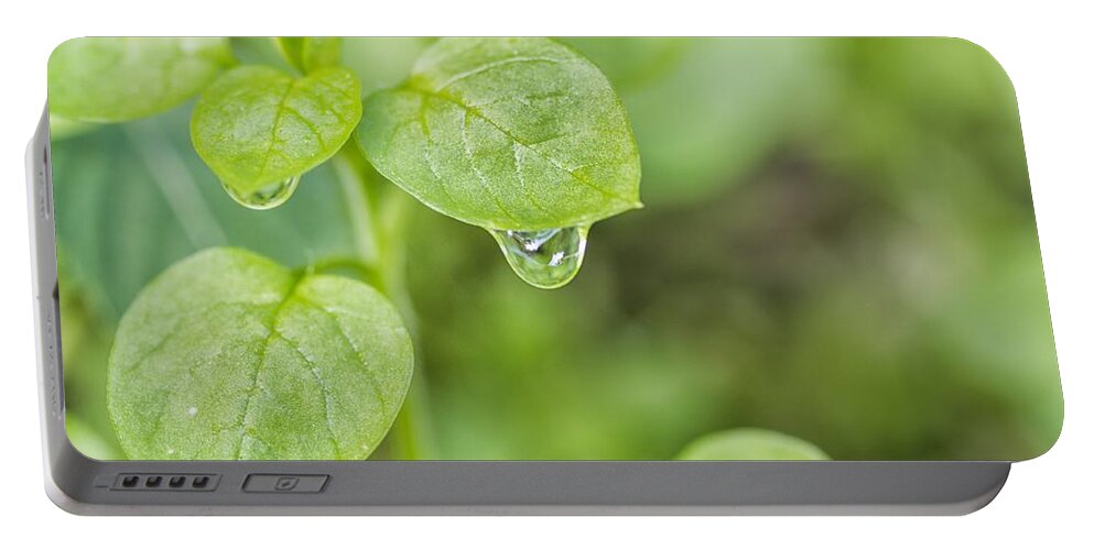 Liquid Portable Battery Charger featuring the photograph Water drop by Paulo Goncalves
