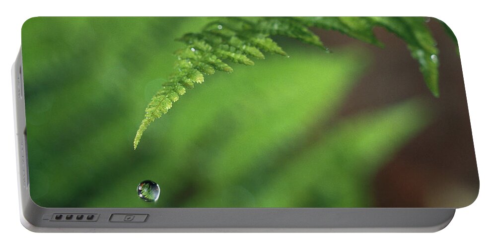 Close Up Portable Battery Charger featuring the photograph Water Droplet Falling From Fern Leaf by Michael Durham