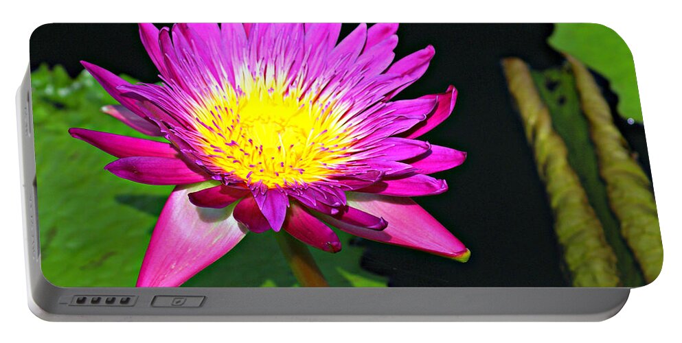 Flower Portable Battery Charger featuring the photograph Water Flower 10089 by Marty Koch