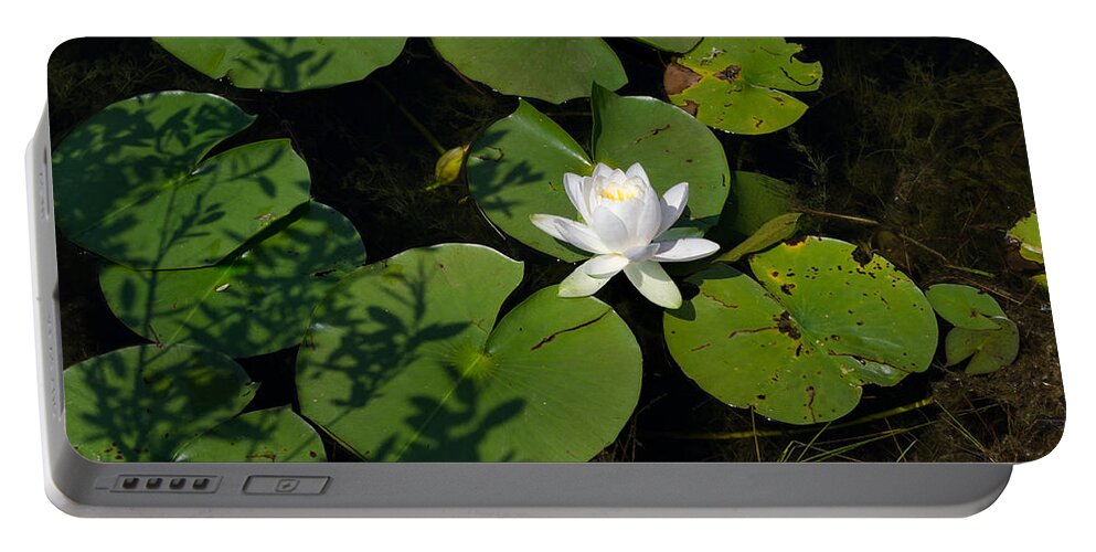 Water Lily Portable Battery Charger featuring the photograph Water Lily by Jim Shackett