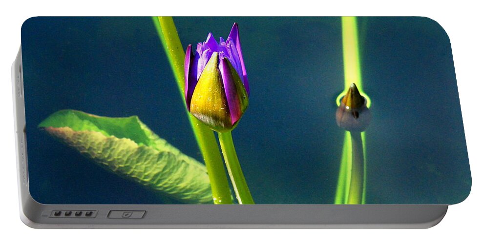 Water Lily Portable Battery Charger featuring the photograph Water Lily 005 by Larry Ward